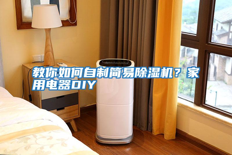 教你如何自制簡(jiǎn)易除濕機(jī)？家用電器DIY