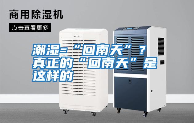 潮濕=“回南天”？ 真正的“回南天”是這樣的