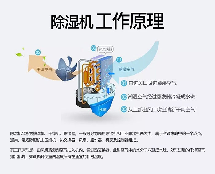 汽車貼膜車間降塵霧化機，智能超聲波霧化降塵系統