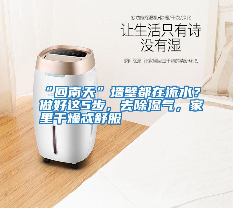 “回南天”墻壁都在流水？做好這5步，去除濕氣，家里干燥忒舒服