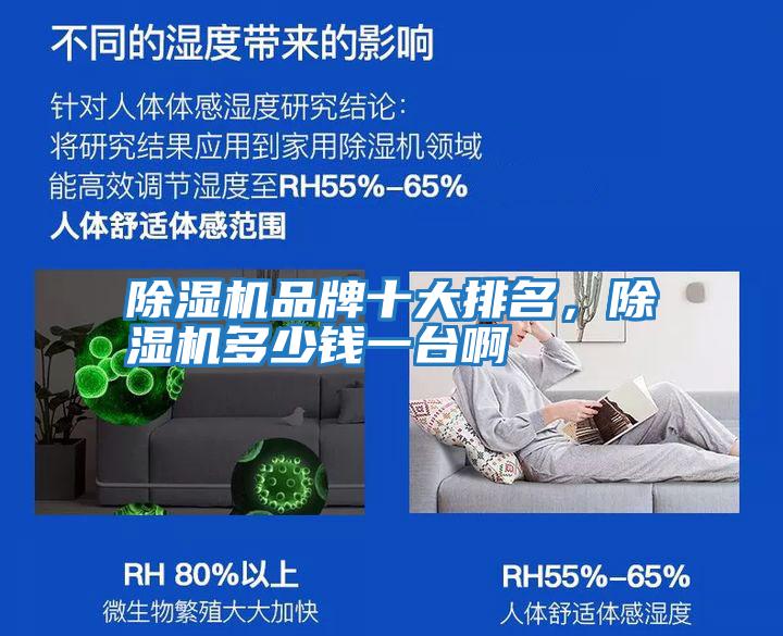 除濕機(jī)品牌十大排名，除濕機(jī)多少錢一臺啊