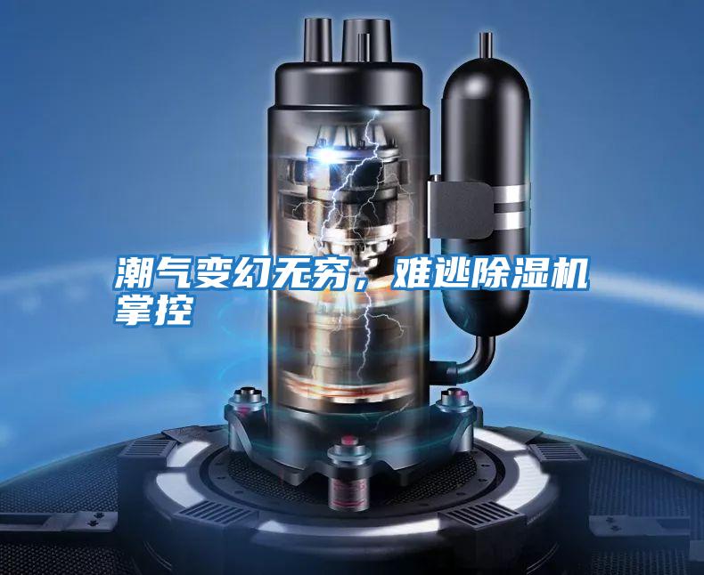潮氣變幻無窮，難逃除濕機掌控