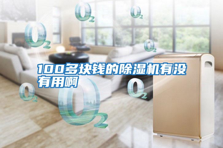100多塊錢(qián)的除濕機(jī)有沒(méi)有用啊