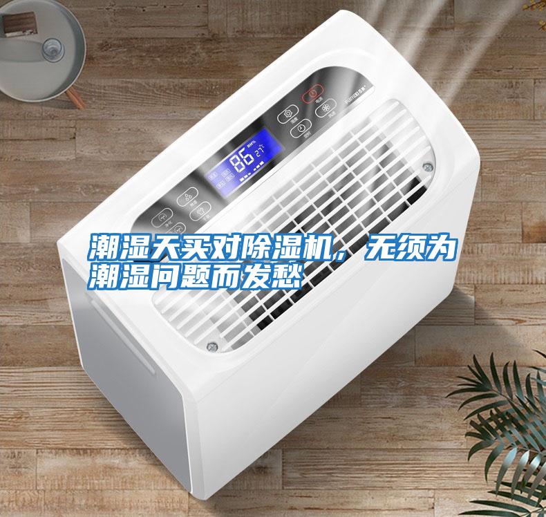 潮濕天買對除濕機，無須為潮濕問題而發愁
