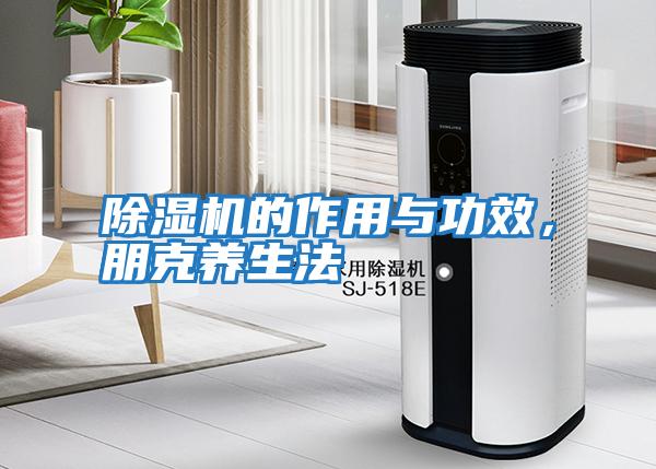 除濕機的作用與功效，朋克養生法