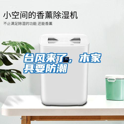 臺(tái)風(fēng)來了，木家具要防潮