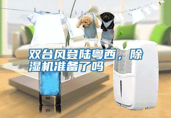 雙臺風登陸粵西，除濕機準備了嗎