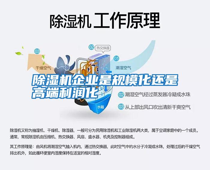 除濕機企業是規?；€是高端利潤化