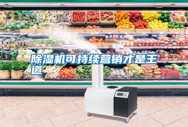 除濕機(jī)可持續(xù)營(yíng)銷才是王道