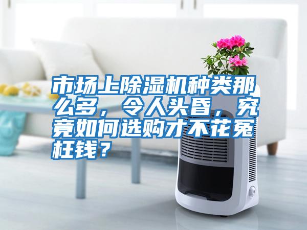 市場上除濕機種類那么多，令人頭昏，究竟如何選購才不花冤枉錢？