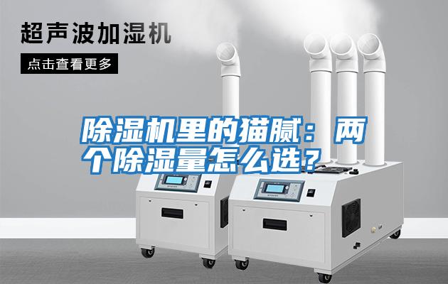 除濕機里的貓膩：兩個除濕量怎么選？