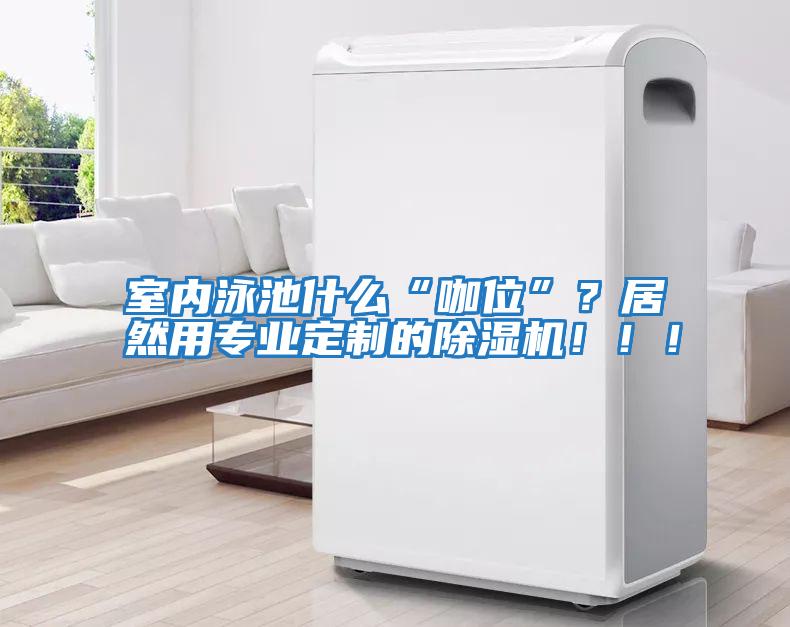 室內泳池什么“咖位”？居然用專業定制的除濕機！?。?/></p>
						    <p style=
