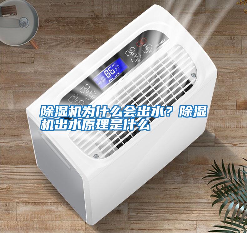 除濕機為什么會出水？除濕機出水原理是什么