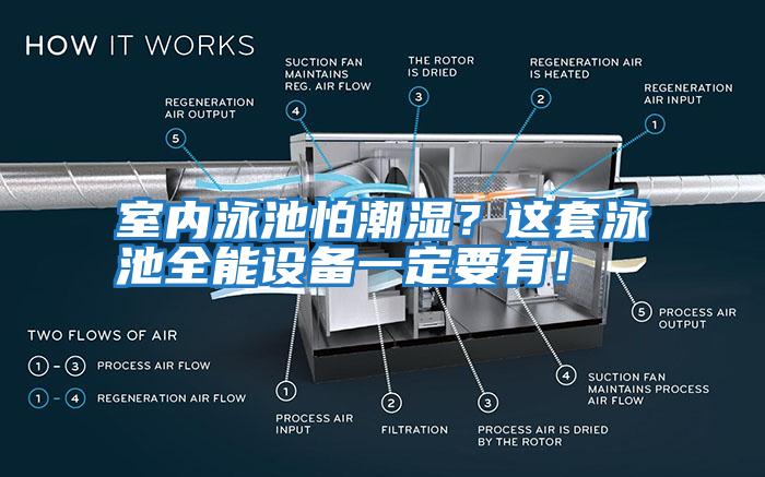 室內泳池怕潮濕？這套泳池全能設備一定要有！