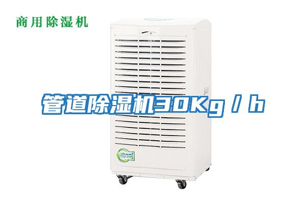 管道除濕機30Kg/h