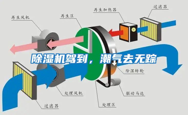 除濕機駕到，潮氣去無蹤