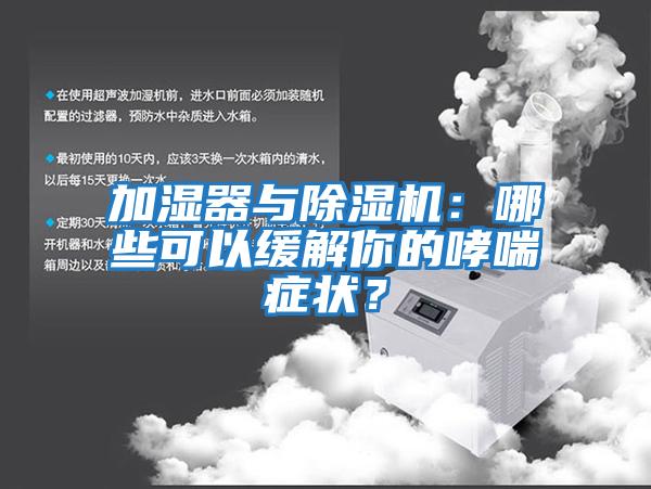 加濕器與除濕機：哪些可以緩解你的哮喘癥狀？
