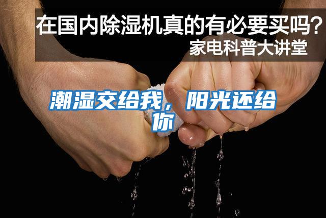 潮濕交給我，陽光還給你