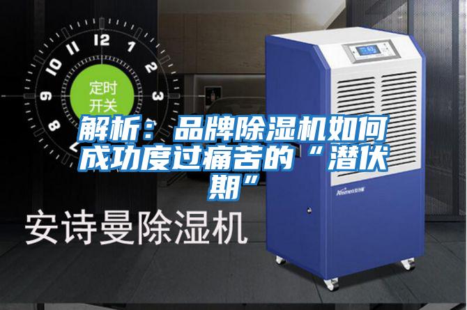 解析:品牌除濕機如何成功度過痛苦的“潛伏期”