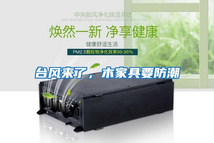 臺風來了，木家具要防潮