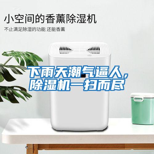 下雨天潮氣逼人，除濕機一掃而盡