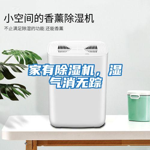 家有除濕機，濕氣消無蹤