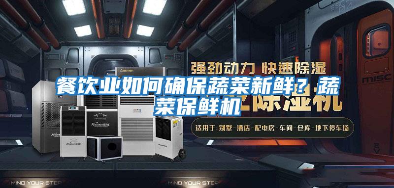 餐飲業如何確保蔬菜新鮮?蔬菜保鮮機