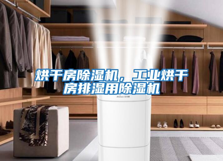 烘干房除濕機，工業烘干房排濕用除濕機