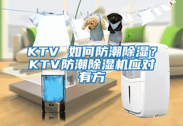 KTV 如何防潮除濕?KTV防潮除濕機(jī)應(yīng)對(duì)有方