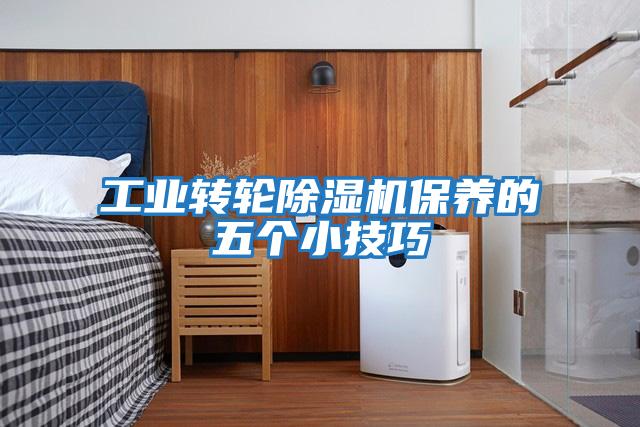工業(yè)轉輪除濕機保養(yǎng)的五個小技巧