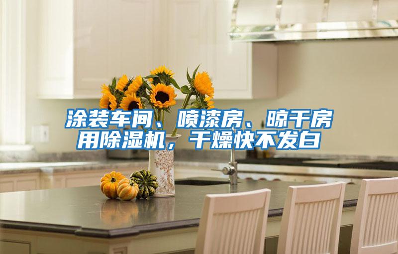 涂裝車(chē)間、噴漆房、晾干房用除濕機(jī),干燥快不發(fā)白