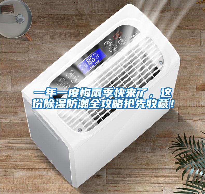 一年一度梅雨季快來了，這份除濕防潮全攻略搶先收藏！