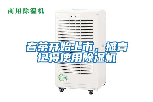 春茶開始上市,攤青記得使用除濕機