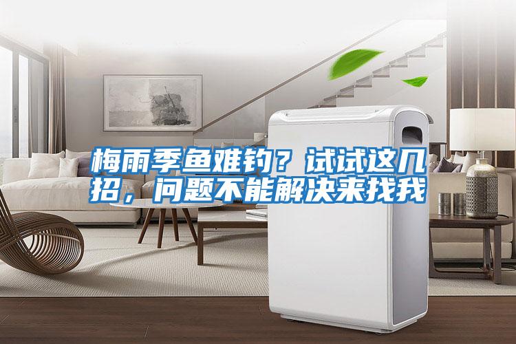 梅雨季魚(yú)難釣？試試這幾招，問(wèn)題不能解決來(lái)找我