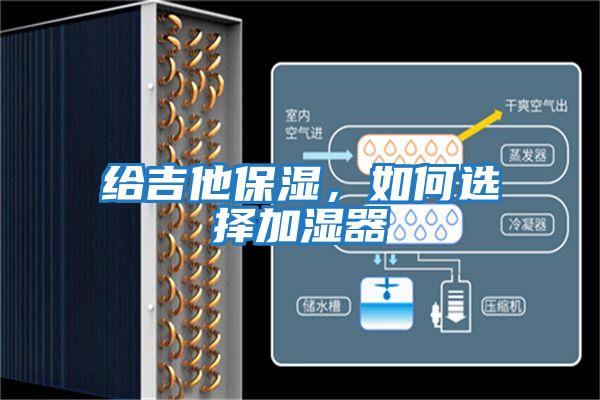 給吉他保濕，如何選擇加濕器