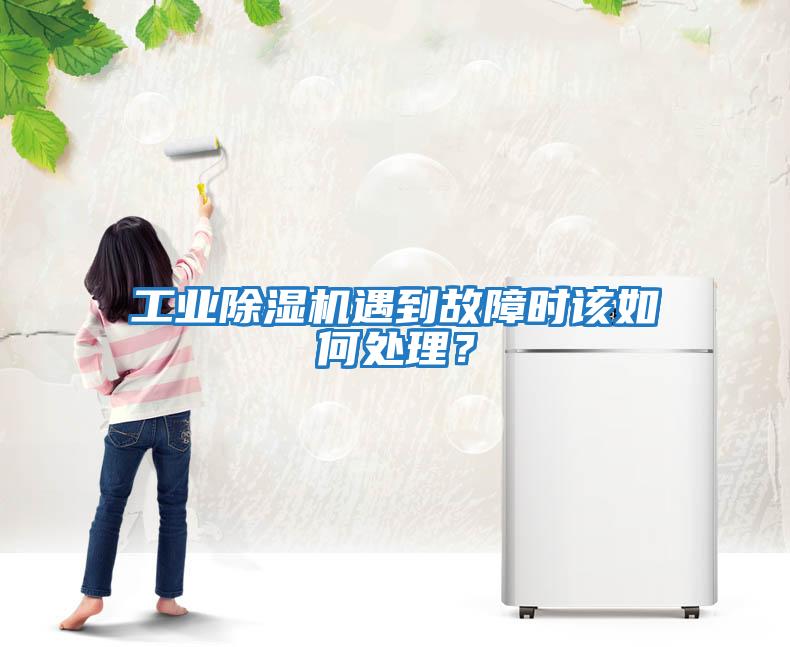 工業(yè)除濕機(jī)遇到故障時(shí)該如何處理?