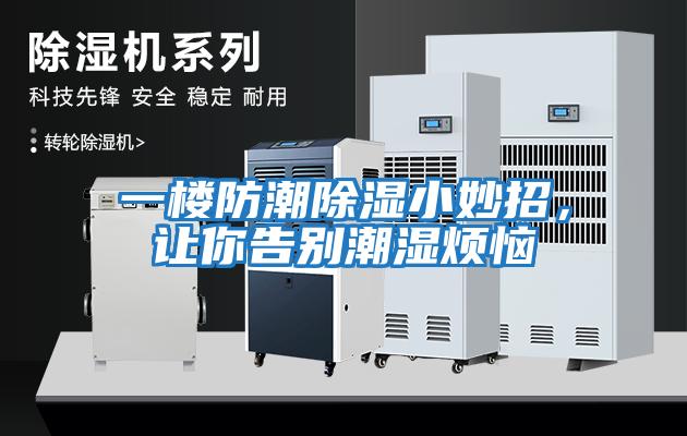 一樓防潮除濕小妙招，讓你告別潮濕煩惱