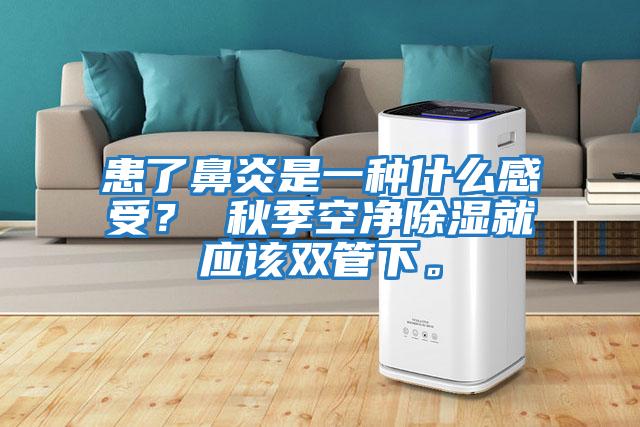 患了鼻炎是一種什么感受？ 秋季空凈除濕就應該雙管下。