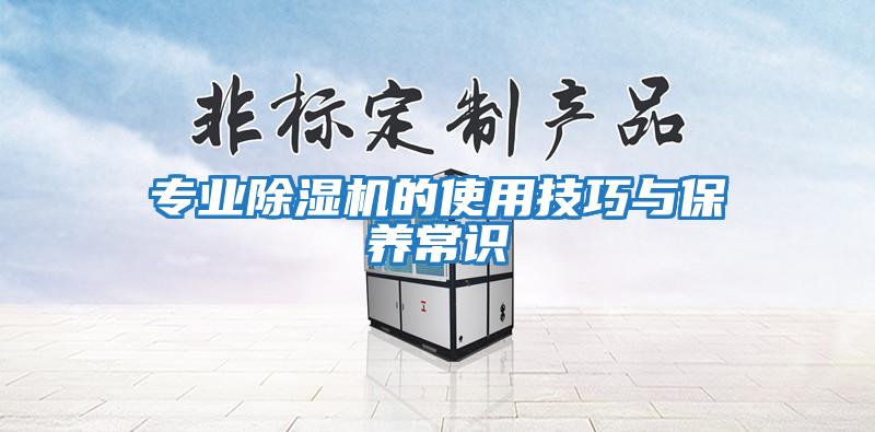 專業(yè)除濕機的使用技巧與保養(yǎng)常識