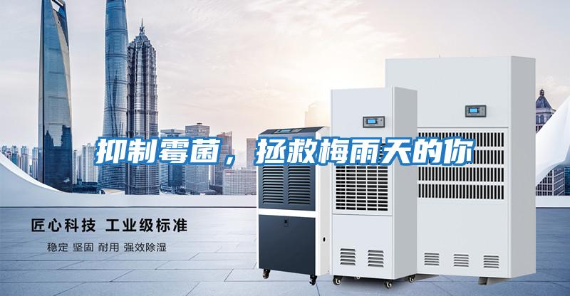 抑制霉菌，拯救梅雨天的你