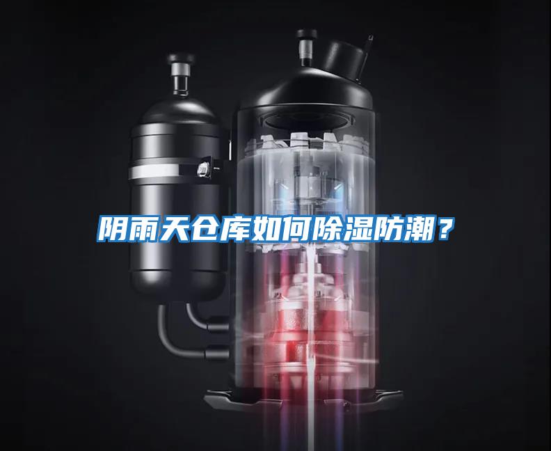 陰雨天倉庫如何除濕防潮？