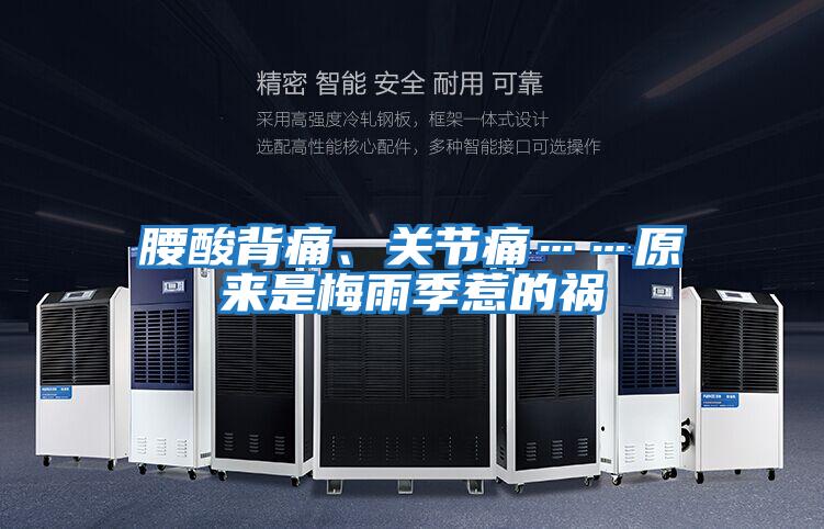 腰酸背痛、關節痛……原來是梅雨季惹的禍