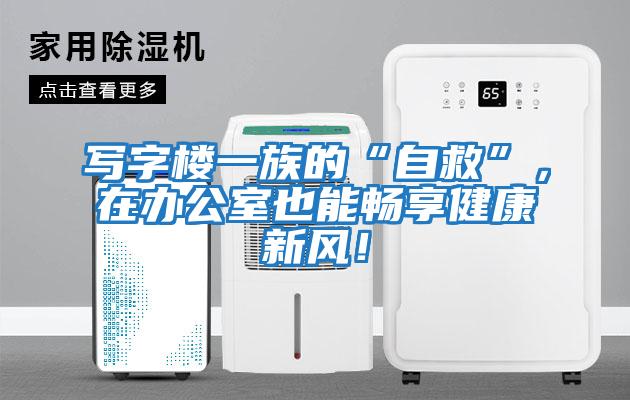 寫字樓一族的“自救”，在辦公室也能暢享健康新風(fēng)！