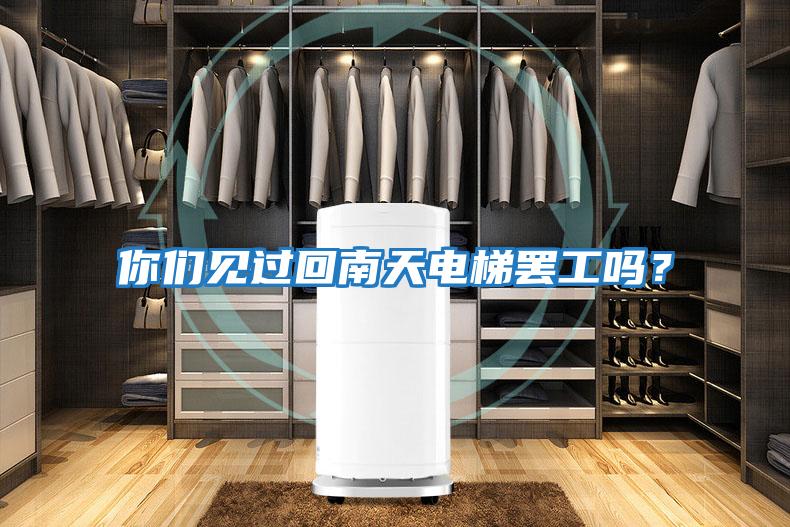 你們見(jiàn)過(guò)回南天電梯罷工嗎?