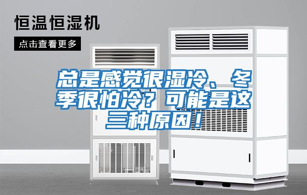 總是感覺(jué)很濕冷、冬季很怕冷？可能是這三種原因！