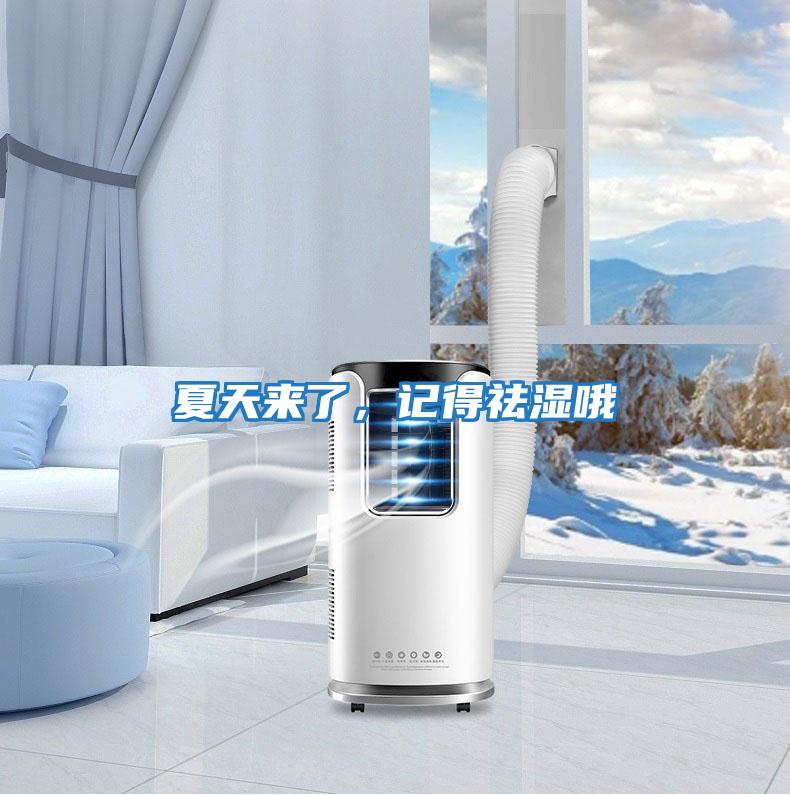 夏天來了,記得祛濕哦