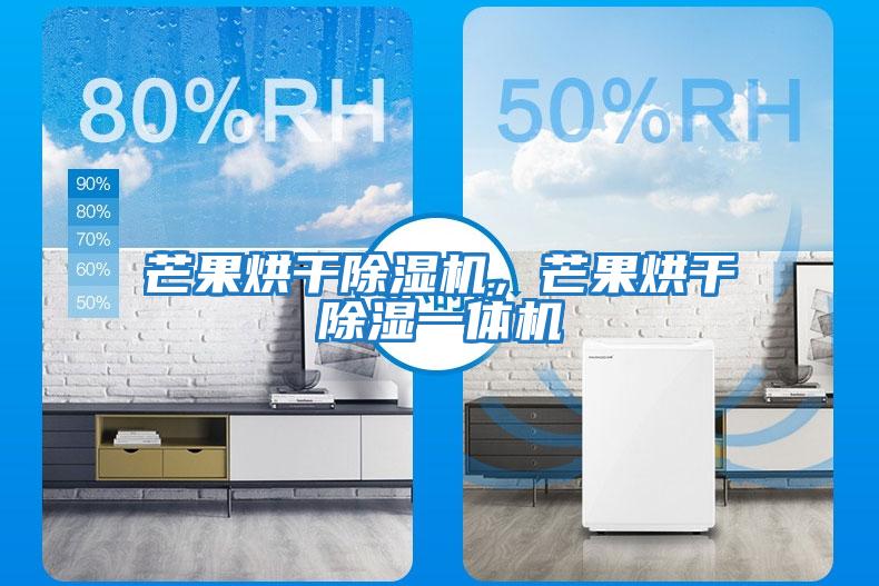 芒果烘干除濕機，芒果烘干除濕一體機