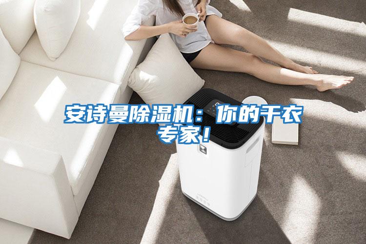 安詩曼除濕機(jī):你的干衣專家!