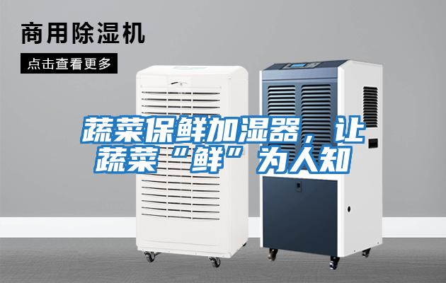 蔬菜保鮮加濕器，讓蔬菜“鮮”為人知