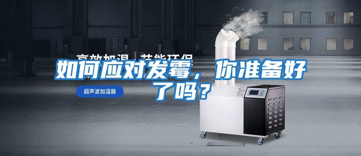 如何應對發霉，你準備好了嗎？